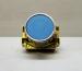 Flush Push Button Blue